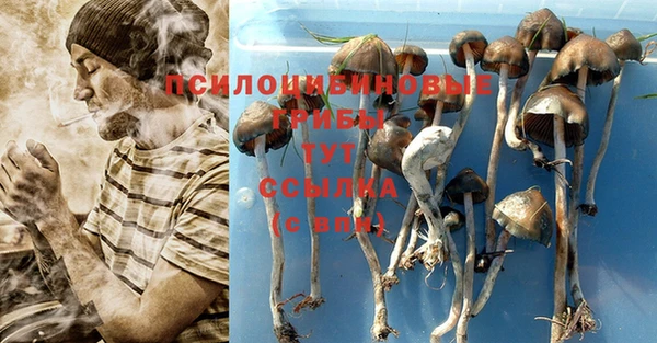 бутират Белоозёрский