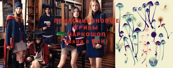 эйфоретик Беломорск